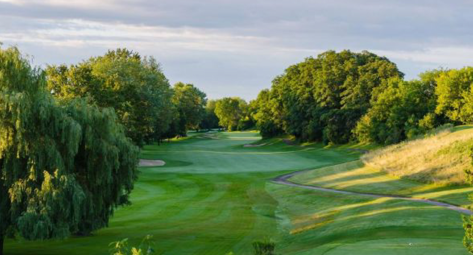 Photograph of golf course fairway.