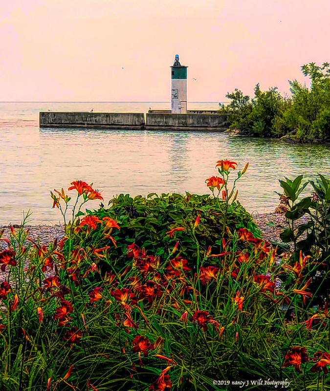 View of Newcastle waterfront from the shore.